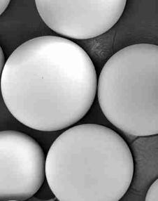 Shape and Surface of Typical Bioactive Glass Microspheres (45S5, 4PiGraft)