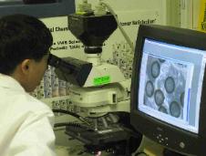 Radioactive Microspheres (BetaSpheres(R)) Manufactuered by XL Sci-Tech Inc.